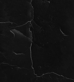 Background.jpg