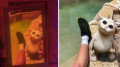 Thumbnail for version as of 22:52, 24 November 2023